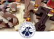 chocoladeletters